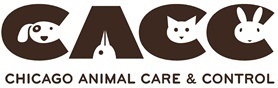 Feature Image for Chicago Animal Care and Control